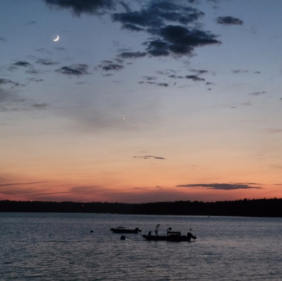 Bookmark me by liking this :) - Picture 3 of 8